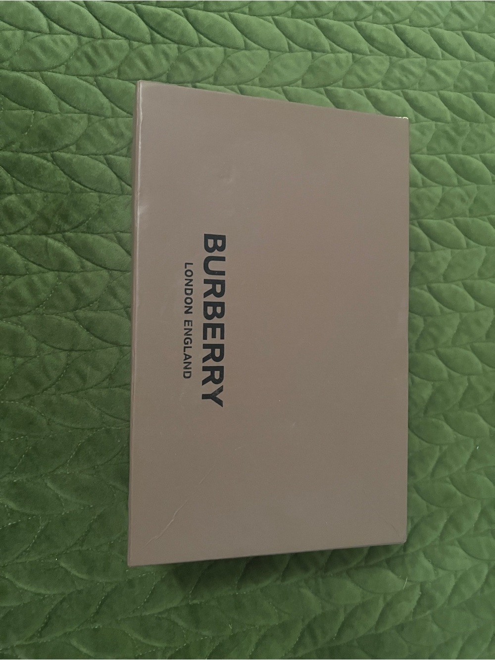 Burberry shoes